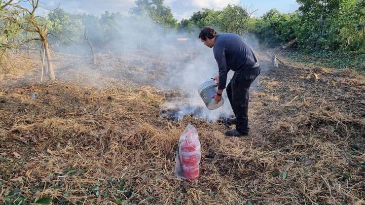 מטעי אבוקדו שרופים בצפון כתוצאה מירי חיזבאללה