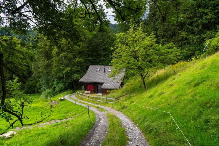 בניה של האמריקנית לא שהו לצדה בזמן ההמתה. ביער בשווייץ (צילום: shutterstock) בקתה יער שווייץ