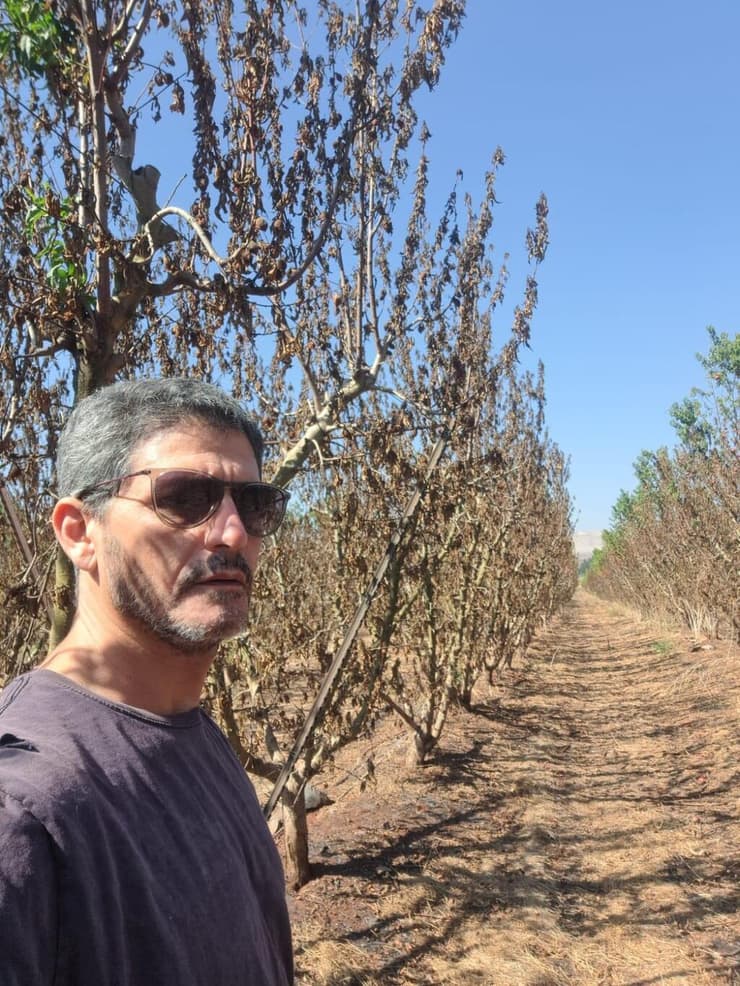 אילן ליבר, מרכז המטעים בקיבוץ יפתח 