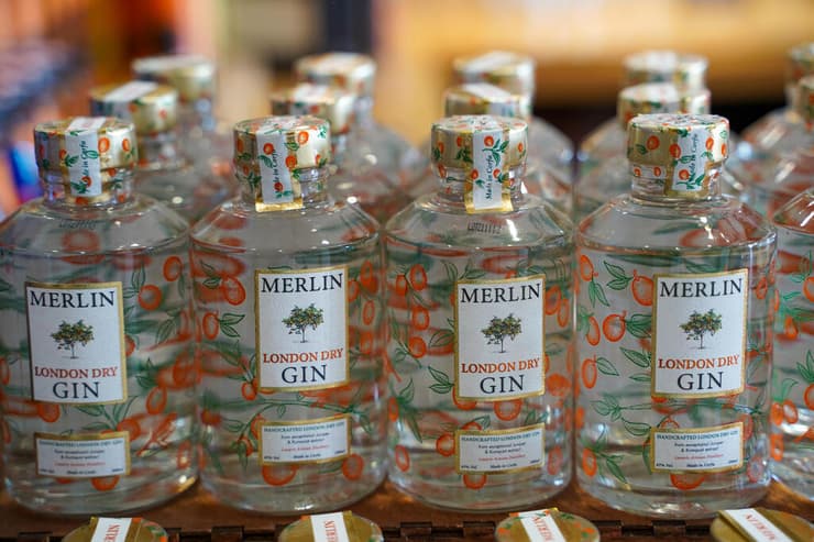 ג'ין קומקוואט (צילום: מילי הירשמן) ג'ין קומקוואט