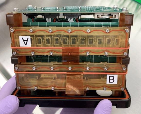 רקמת לב על שבב שמקיים אותה בחיים ובוחן את תפקודה. מערך הניסוי שנשלח לתחנת החלל (צילום: Deok-Ho Kim and Devin Mair / Johns Hopkins Medicine) רקמת לב על שבב שמקיים אותה בחיים ובוחן את תפקודה. מערך הניסוי שנשלח לתחנת החלל