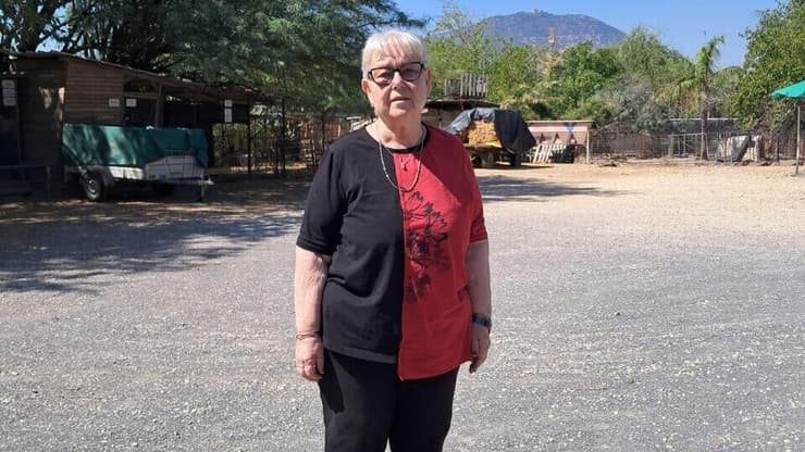 מלכה בן-זאב, הבעלים של דבורת התבור