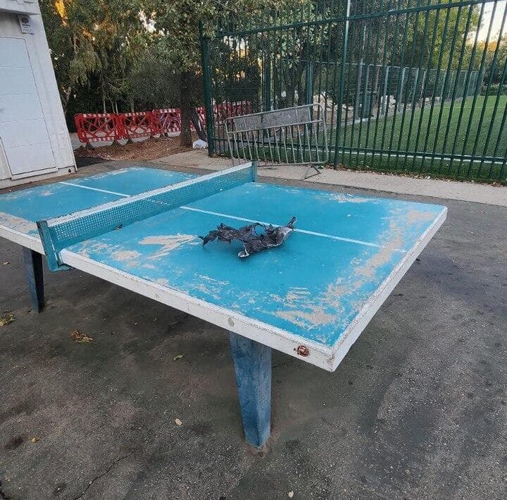 חלקי יירוט של הטיל ששוגר מתימן
