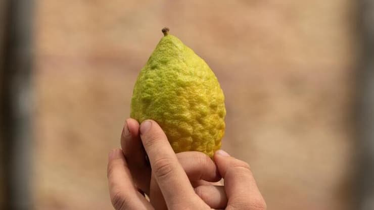 אתרוג