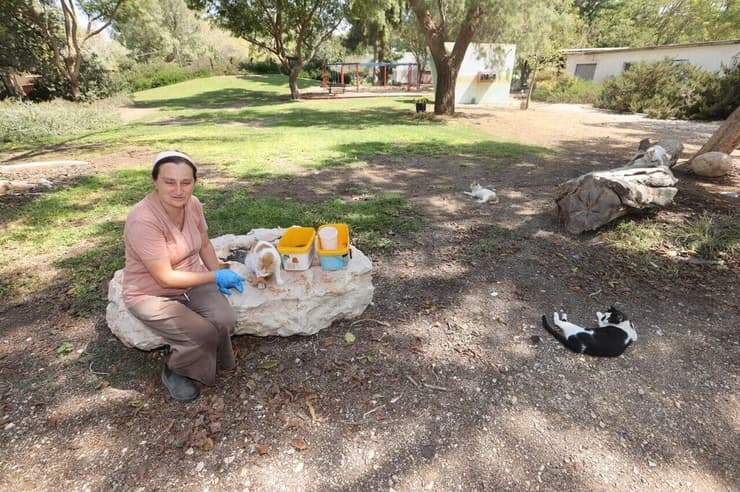ילנה טרופנוב באחת מפינות האכלה (צילום: גדי קבלו) ילנה טרופנוב באחת מפינות האכלה