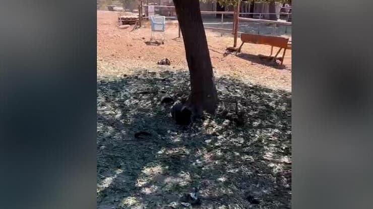 רסיסי כטב"מ שנורה מלבנון ויורט נפלו בשטח קיבוץ מרום גולן