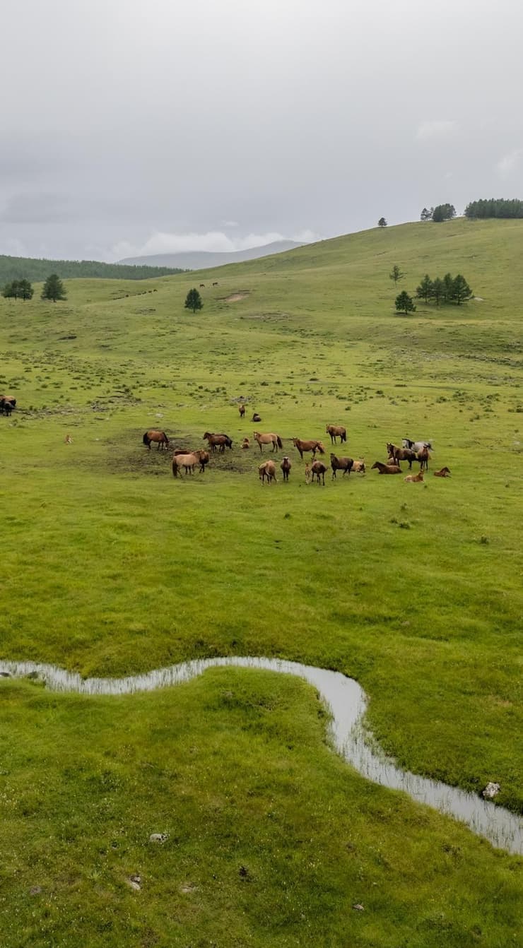 המדינה שהדהימה את זוג הבלוגרים מישראל