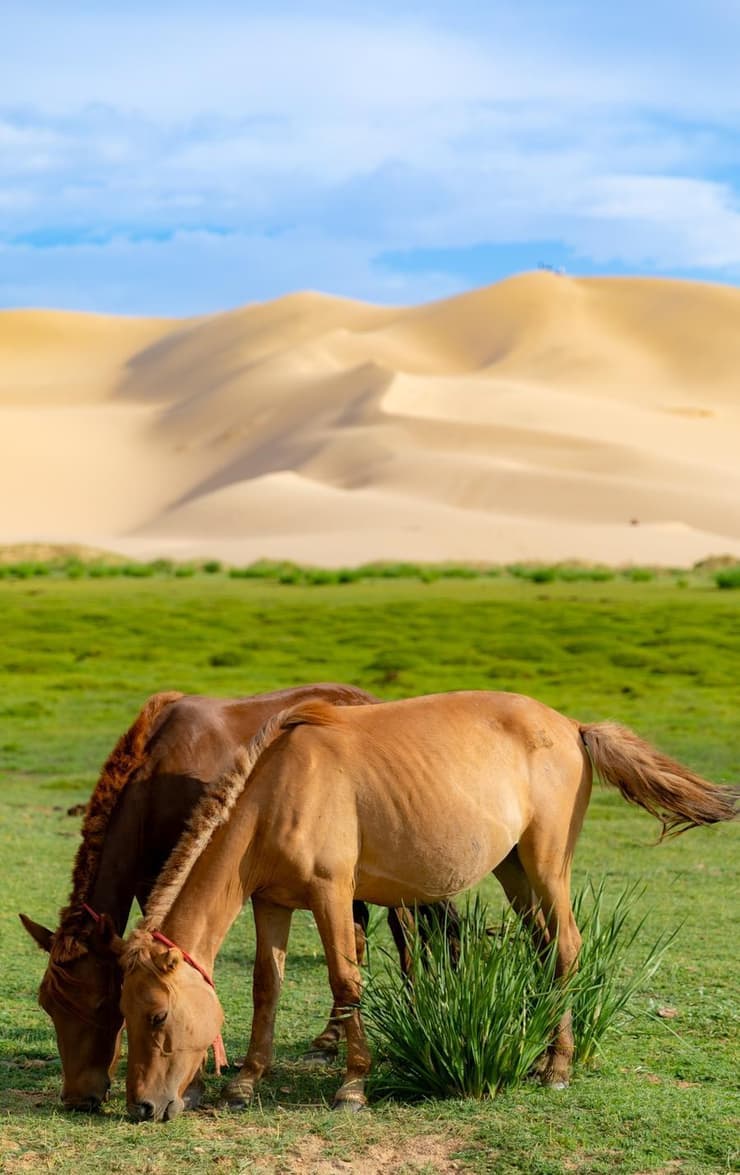 המדינה שהדהימה את זוג הבלוגרים מישראל