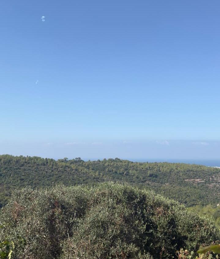 יירוטים בחוף הכרמל