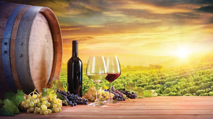 צילום: shutterstock