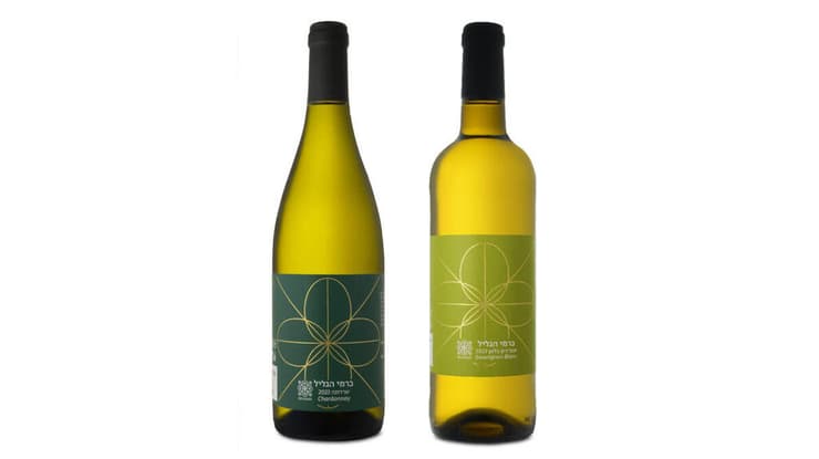 צילום: אייל קרן