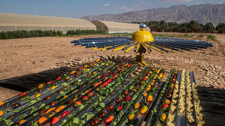 בישול עם "שף השמש" בקיבוץ אליפז