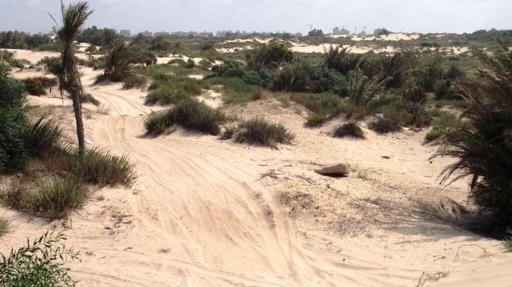 חוויה בחולות ניצנים. 