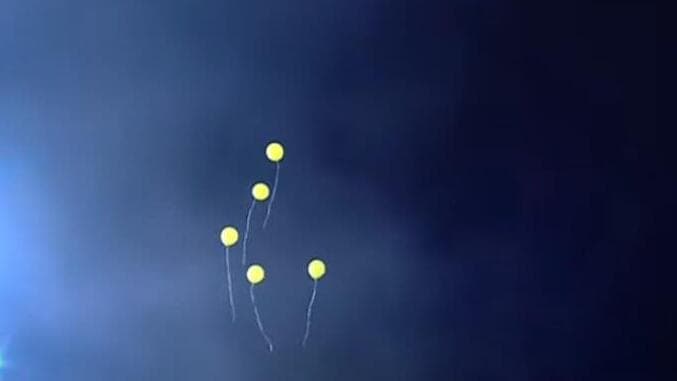 הבלונים למען התצפיתניות (צילום: טקס הזיכרון הלאומי) הפרחת בלונים בטקס הזיכרון הלאומי בהשתתפות משפחות החטופים לזכר ה-7.10