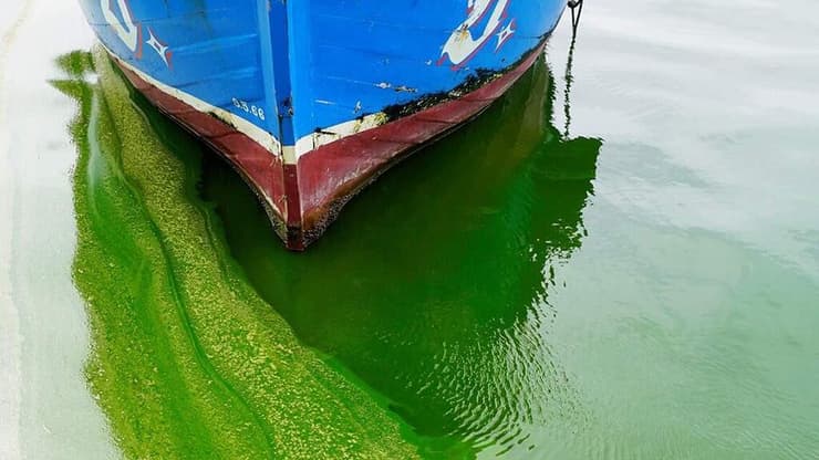 ספינת המחקר בפעולה (צילום: מכון ויצמן למדע) ספינת המחקר בפעולה