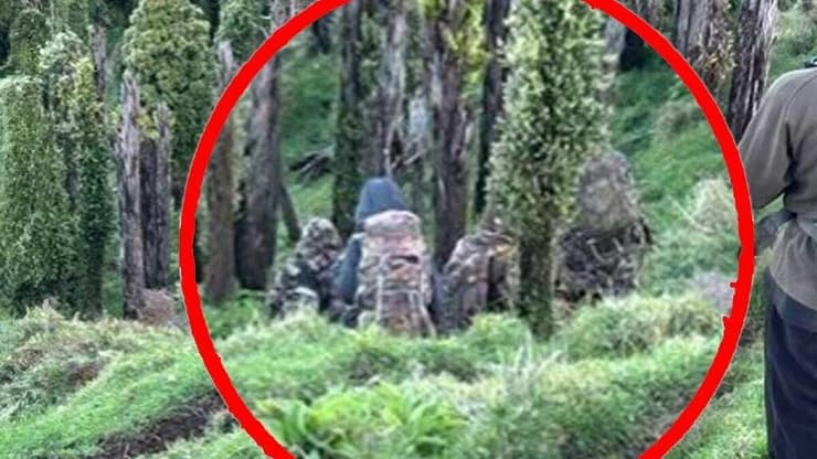 האב וילדיו נעלמים במרחק אחרי המפגש הקצר עם הציידים ניו זילנד טום פיליפס אב נמלט 3 ילדים נצפו ביערות