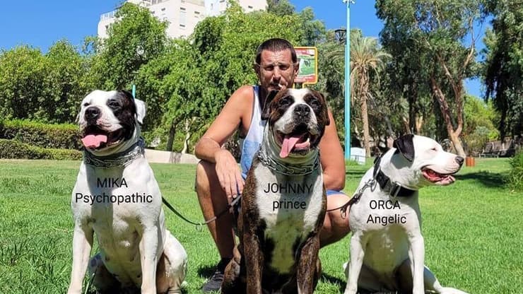 דביר שרביט שנהרג בקרית שמונה