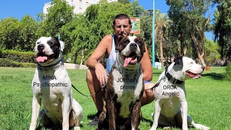 דביר שרביט שנהרג בקרית שמונה