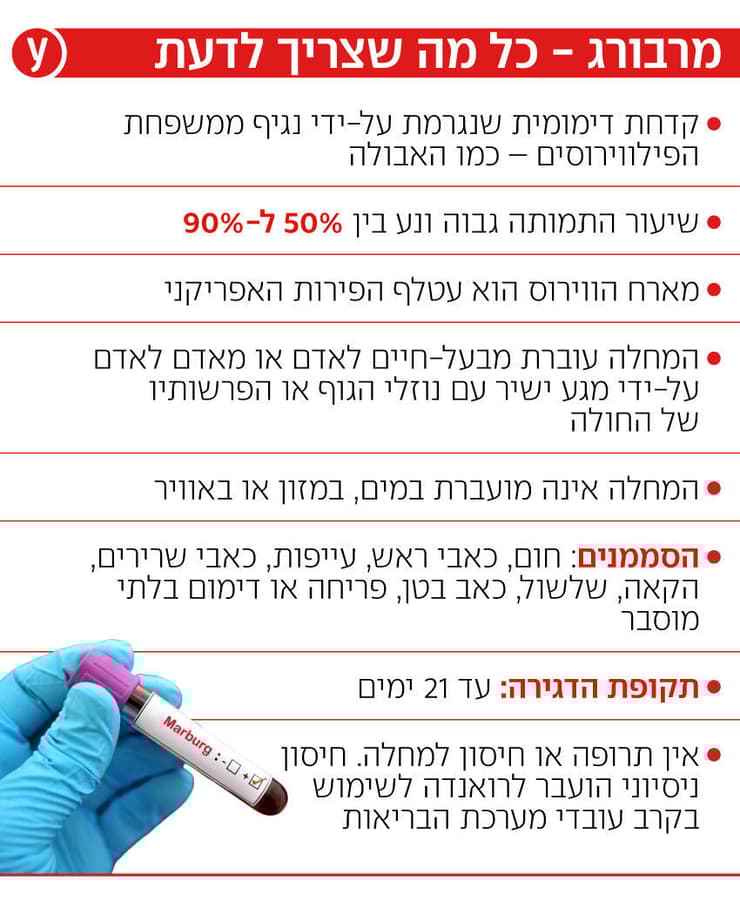 אינפו מרבורג