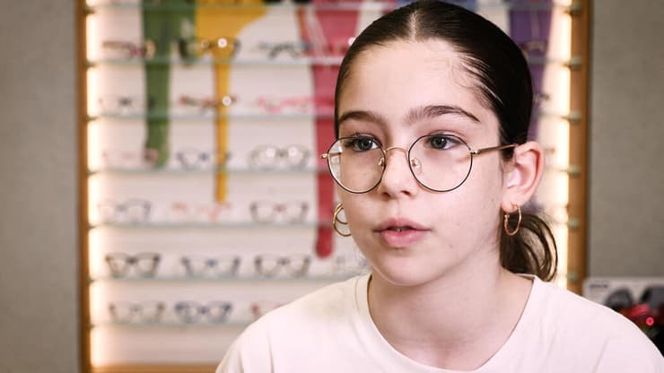 מיופיה, קבוצת לפידות