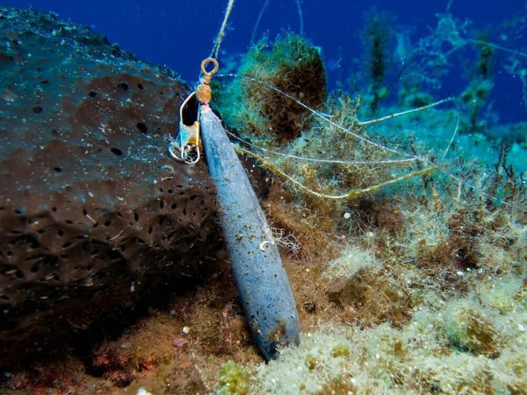 זיהום מי האוקיינוס במתכות רעילות ומסוכנות לבעלי החיים ולבני האדם