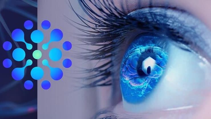 RevitalVision