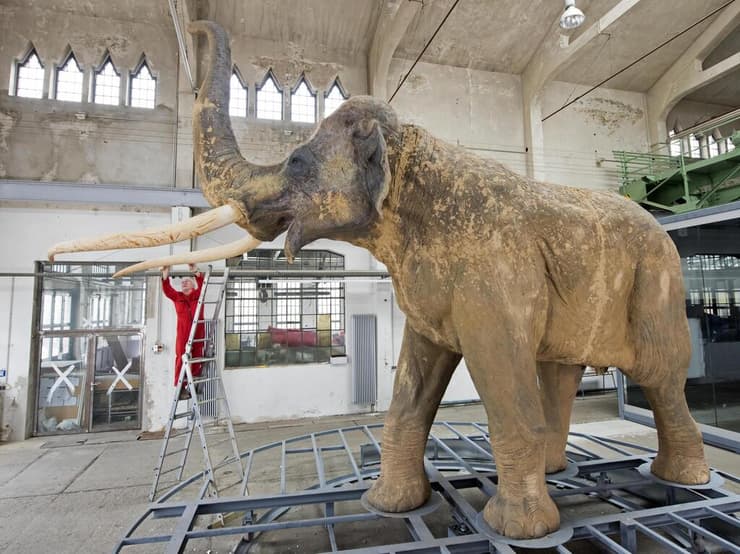 הדמיה של פיל ישר-חט (Palaeoloxodon antiquus), מין נכחד שהיה נפוץ באירופה לפני מאות אלפי שנים