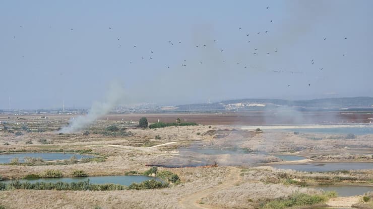 נפילות בשמורת עין אפק
