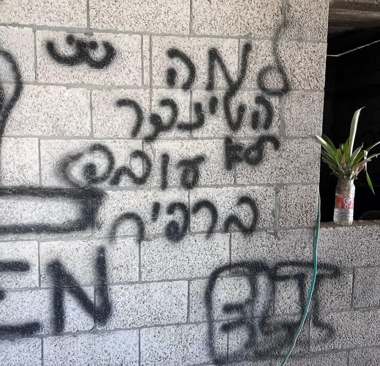 דב איכנולד ברפיח