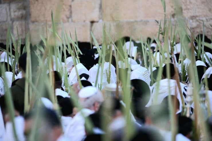 תפילה עם ארבעת המינים