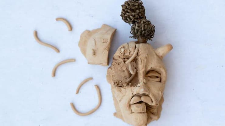 מסע הריפוי של שורדי הנובה גילי יסקוביץ' אושרת רובה סלומון