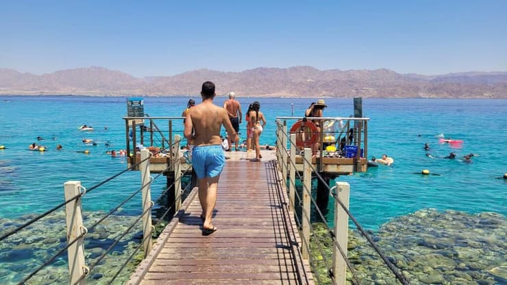 שמורת האלומגים (צילום: חן טופקיאן) שמורת האלומגים