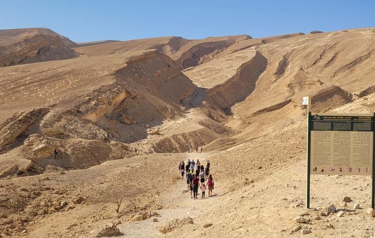 נחל גוב (צילום: ג׳מיל אטרש רשות הטבע והגנים) נחל גוב