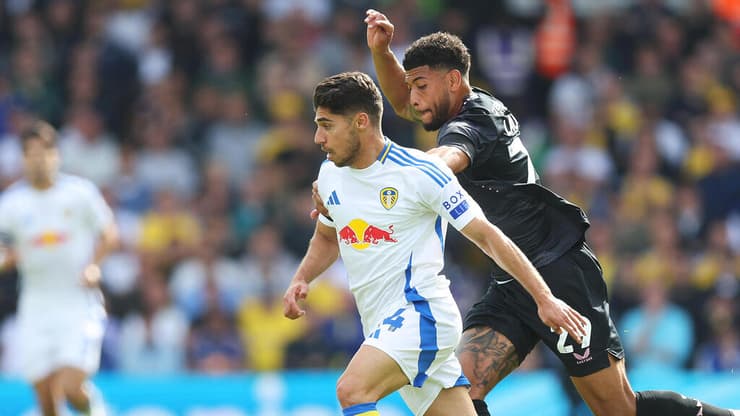 מנור סולומון