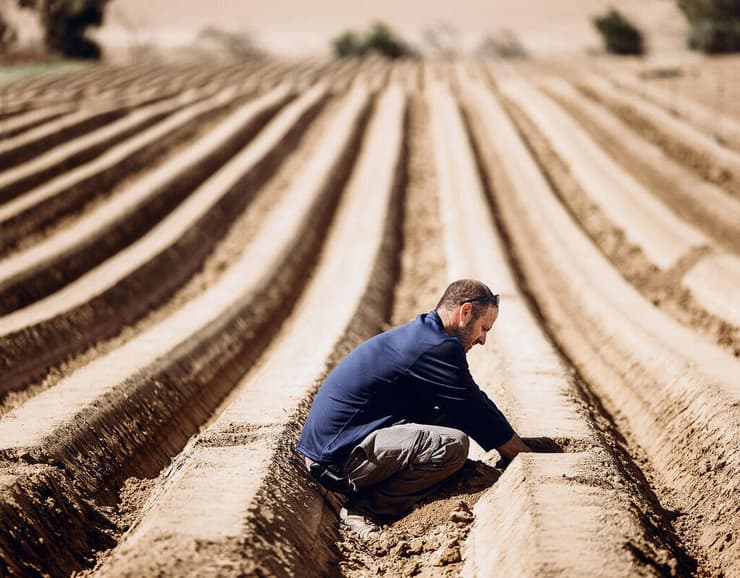 גל גודארד, בנם של איילת ומני גודארד, שנרצחו באותה שבת, חזר לעבד את שדות בארי ולזרוע תפוחי אדמה yk14123322