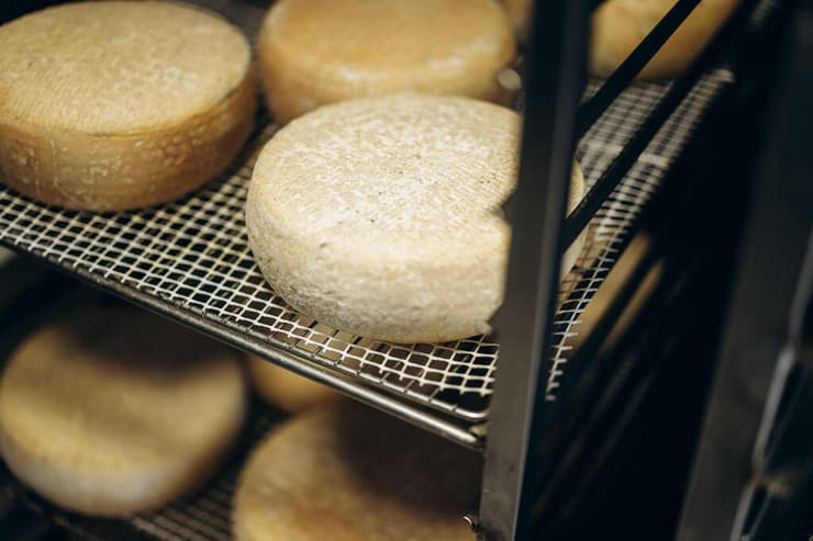 צילום: מיכה בריקמן בארי