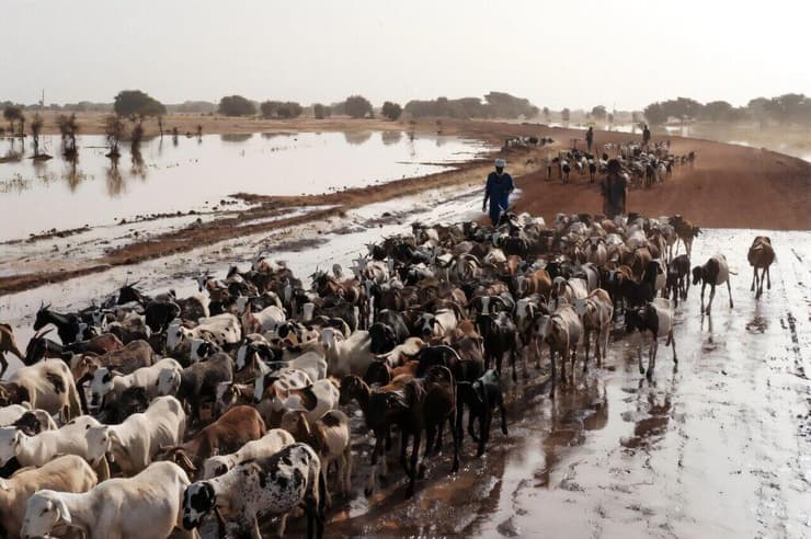 תושבים עקורים באפריקה