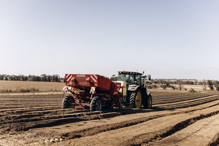 צילום: מיכה בריקמן בארי