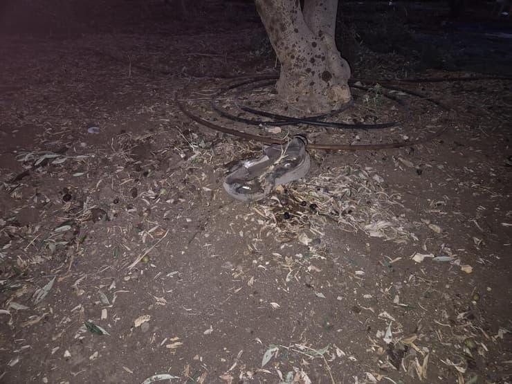 הזירה במטע הזיתים סמוך לצומת אפק