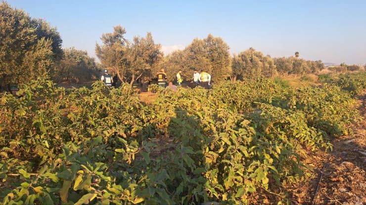 זירת הפגיעה בשטח החקלאי