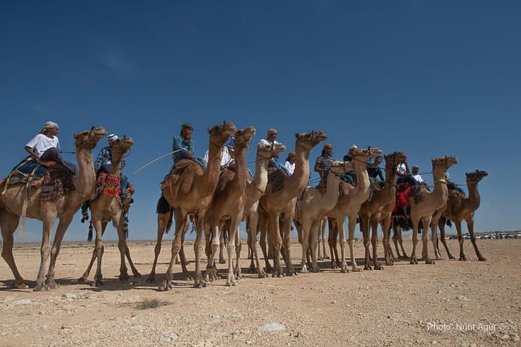 מתכוננים למרוץ
