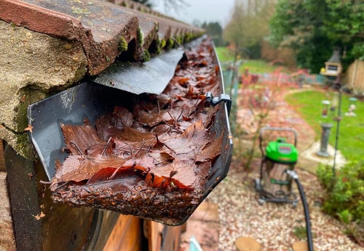 צילום: shutterstock