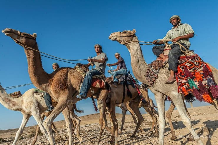 בנגב מברכים על עריכת המרוץ החוקי