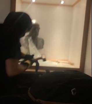 תיעוד הגניבה (צילום: מתוך הרשתות החברתיות) גניבת הפסלים