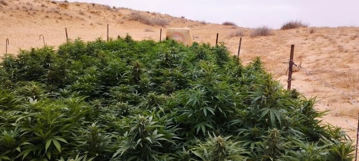 מספר הפשיטות ירד בגלל המלחמה