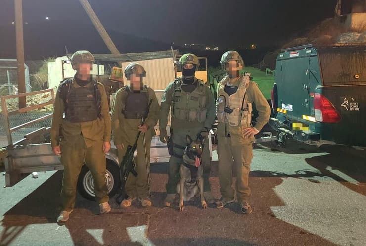 פשיטה לילית כדי להציל את בעלי החיים (צילום: רשות הטבע והגנים) פשיטה לילית כדי להציל את בעלי החיים