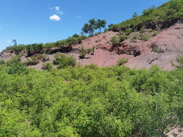 תצורת יישיין שבסין