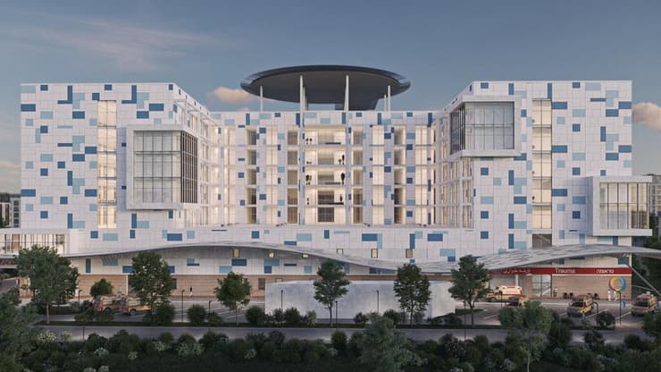 הלל יפה הדמיה