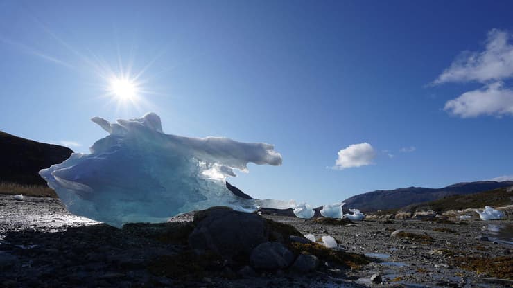 קרחונים שנשטפו לחוף בפיורד של נואוק