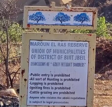 חטיבת עציוני בדרום לבנון